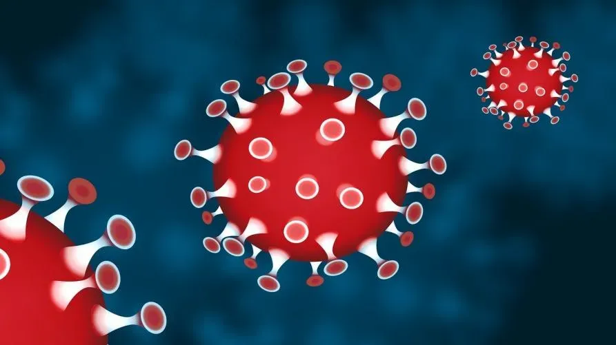 Immagine per wp_35128_coronavirus3_interno