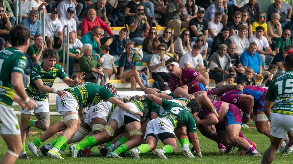 Doppio muro gialloverde: quello dei giocatori in campo e quello del pubblico in tribuna Doppio muro gialloverde: quello dei giocatori in campo e quello del pubblico in tribuna