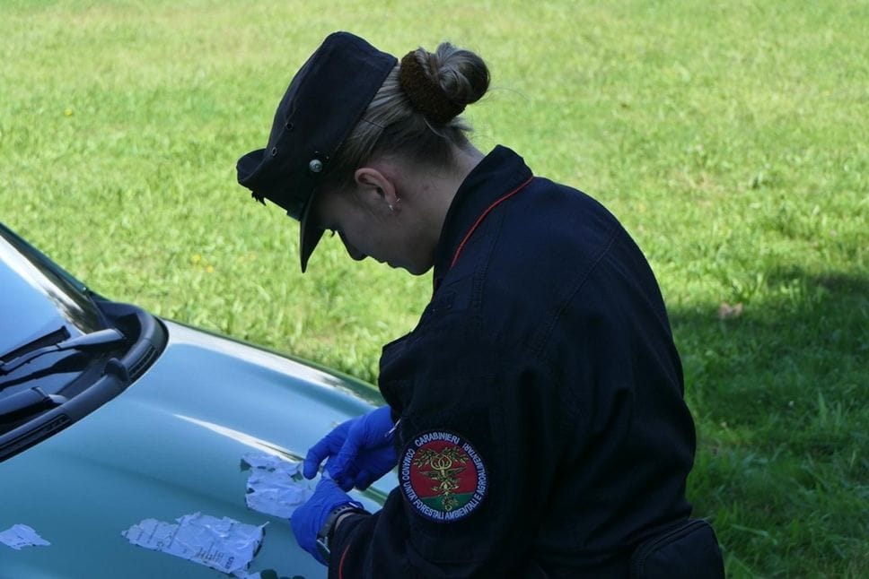 carabinieri forestali
