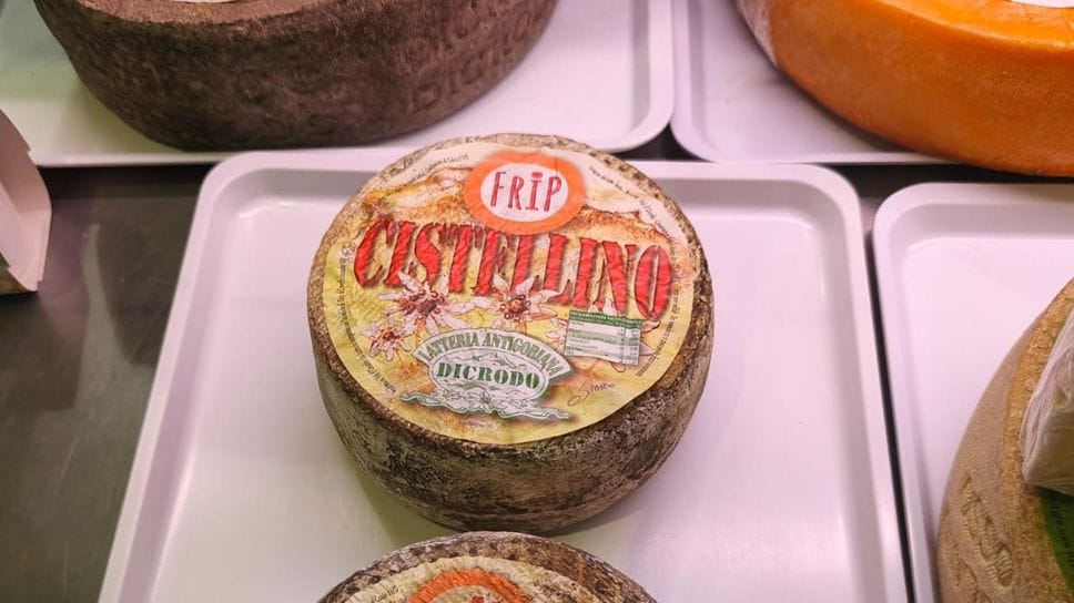 Il formaggio Cistellino Frip prodotto a Crodo Il formaggio Cistellino Frip prodotto a Crodo