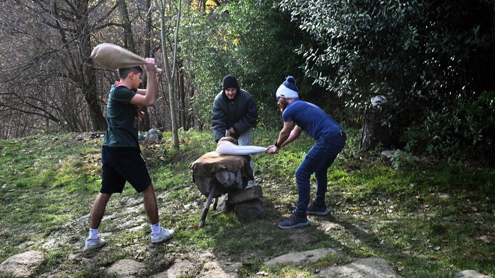 Un momento della battitura delle castagne