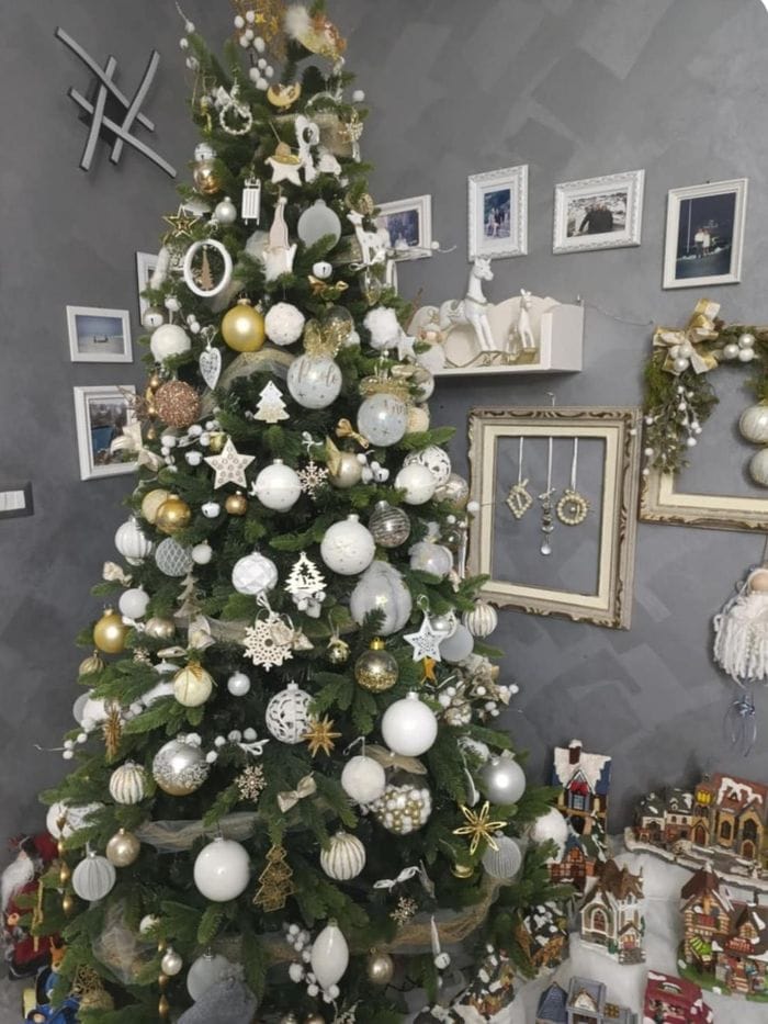 L’albero vincitore del concorso