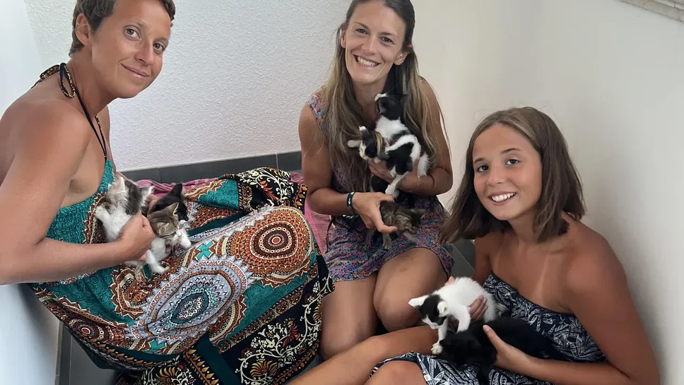 La biellese Irene Mosca (al centro) con Francesca Giancippoli e la figlia Chiara: le “salvatrici” dei gattini