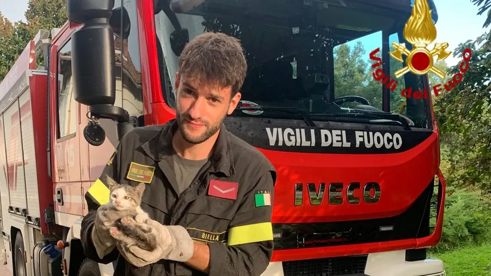 Un vigile del fuoco con il micio salvato