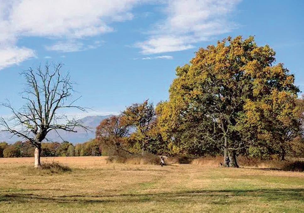 L’area naturalistica della Baraggia