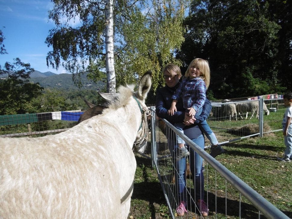 Dal mercatino alle creazioni della scuola di magliera, la “Festa della lana” conquista Ternengo