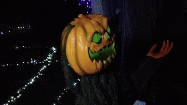 Effetto Halloween, un giardino spettacolare a Castelletto Cervo. Fotogallery