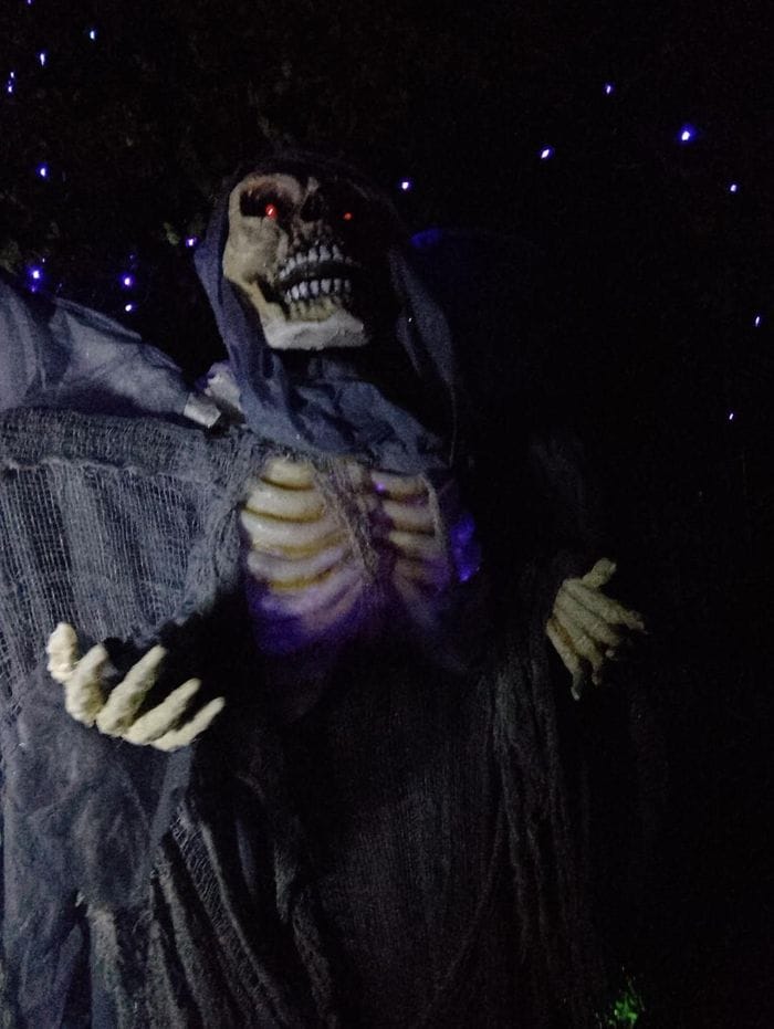Effetto Halloween, un giardino spettacolare a Castelletto Cervo. Fotogallery