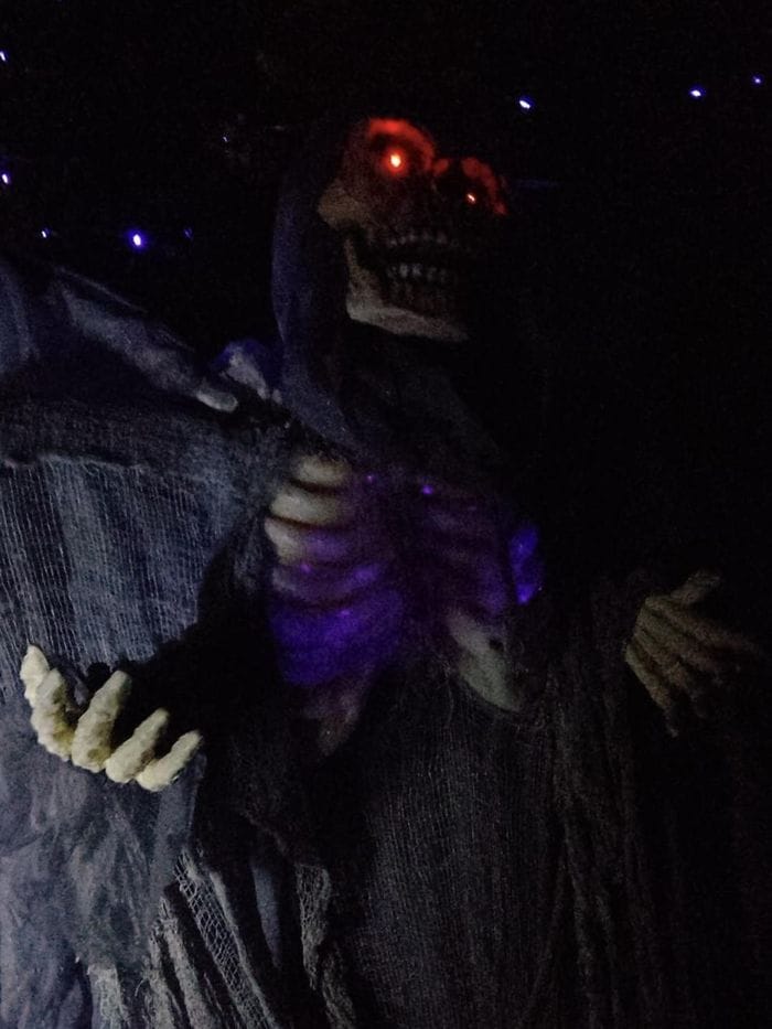 Effetto Halloween, un giardino spettacolare a Castelletto Cervo. Fotogallery