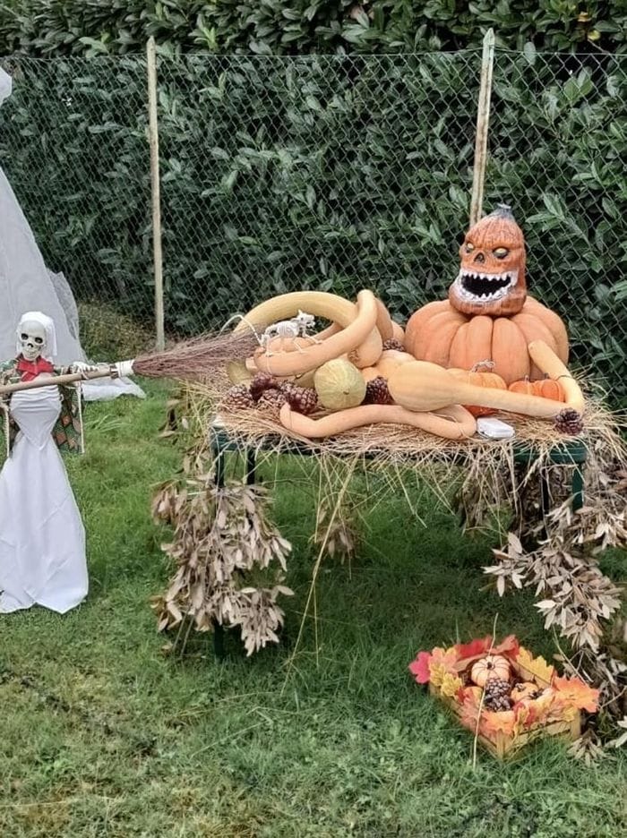 Effetto Halloween, un giardino spettacolare a Castelletto Cervo. Fotogallery