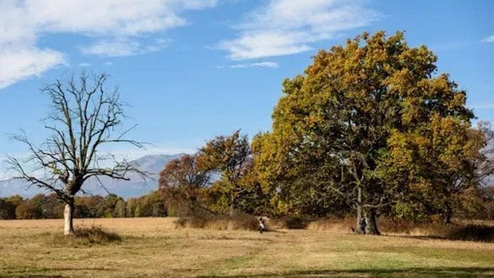La Baraggia di Candelo