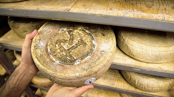 Con il “Pat” una visione <br/> d’insieme per la filiera