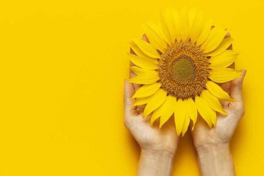 Immagine per cr-piemonte-7543