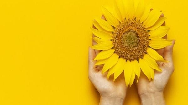 Immagine per cr-piemonte-7543