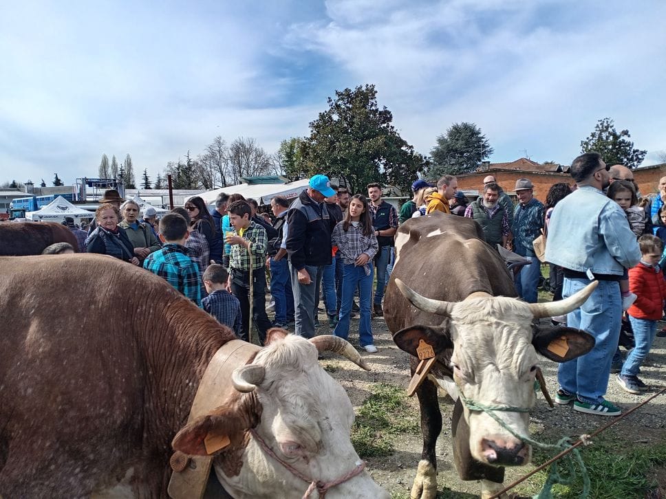 “La Fera d’la Caplina” conquista Sandigliano