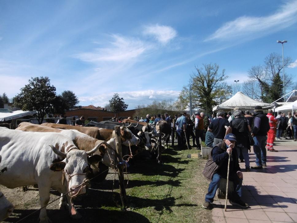 “La Fera d’la Caplina” conquista Sandigliano