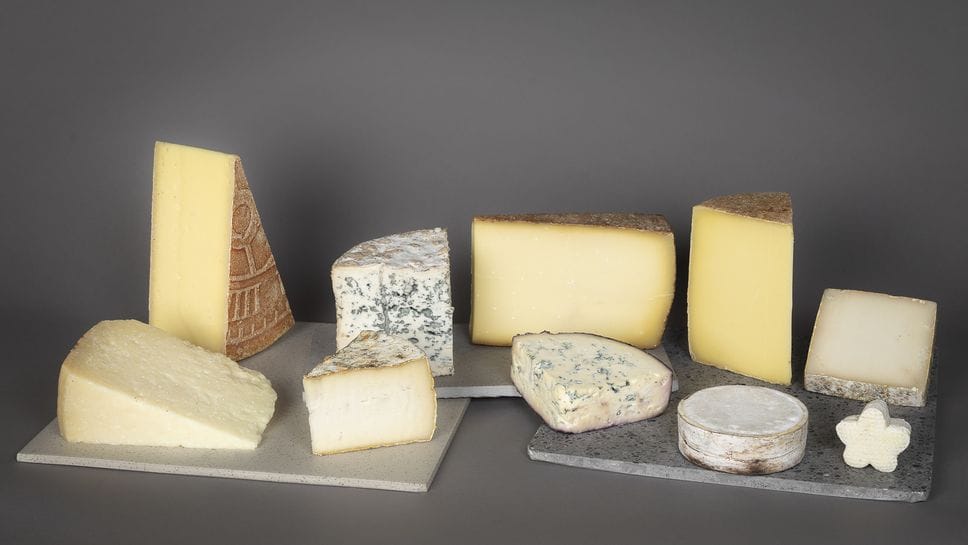 BluDivino premiato a Parigi: il formaggio di Caseificio Rosso tra i 10 “Coups de Cœur” 2026 del Salon du Fromage