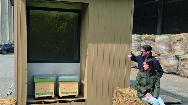 La micro-architettura dove si respirano  le api e si combatte lo stress