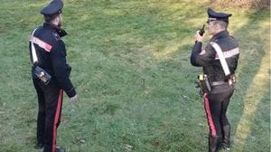 Palo della Tim cade nel suo giardino, lei minaccia di togliere la corrente a tutto il paese