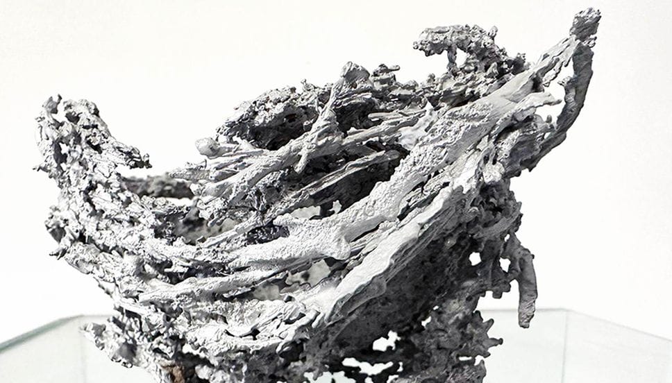 Il nido di Maura Banfo vince il Be Natural Be Wild edizione 2026