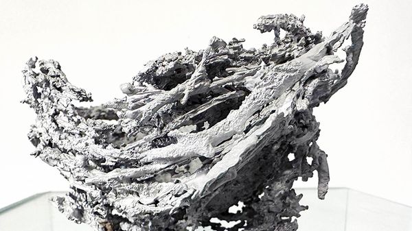 Il nido di Maura Banfo vince il Be Natural Be Wild edizione 2026