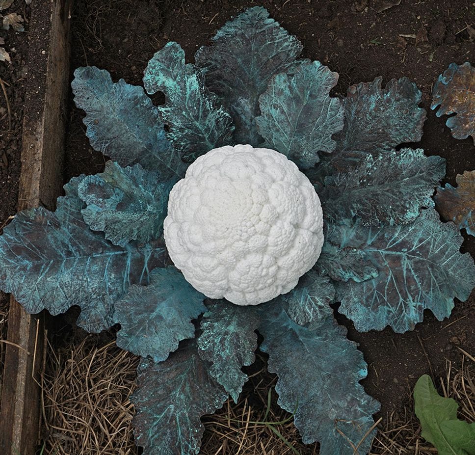 Il nido di Maura Banfo vince il Be Natural Be Wild edizione 2026