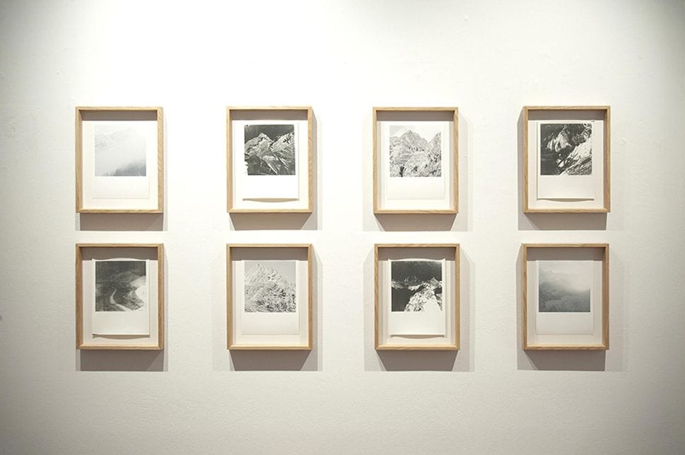 Il nido di Maura Banfo vince il Be Natural Be Wild edizione 2026