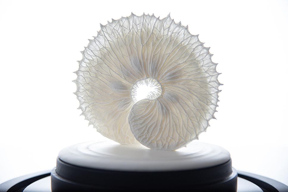 Il nido di Maura Banfo vince il Be Natural Be Wild edizione 2026