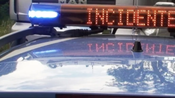 Sbatte contro il guardrail per evitare di investire un cane