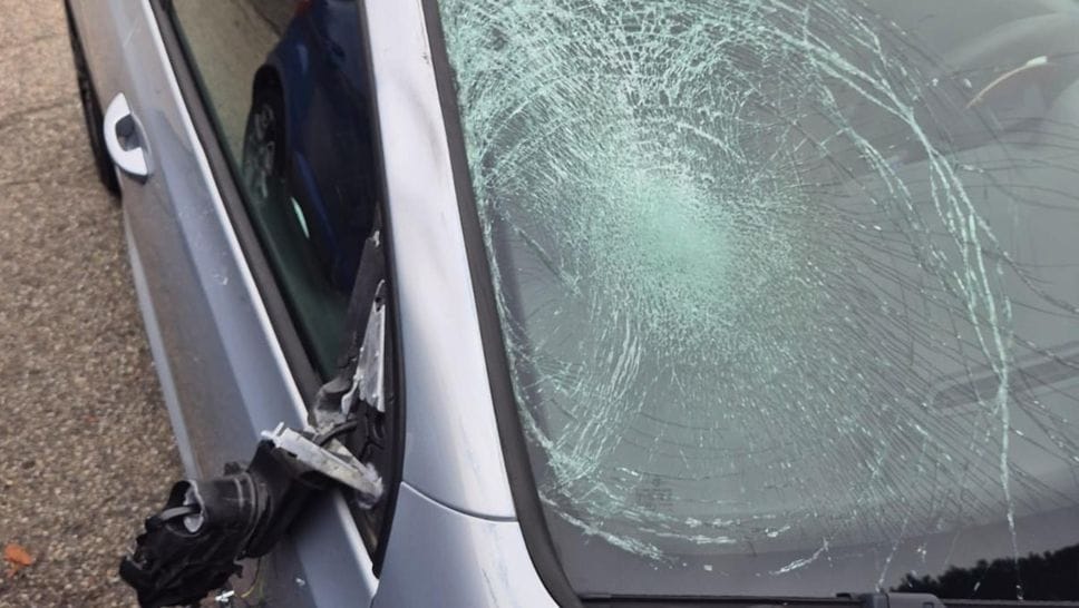 Sette auto danneggiate di notte vicino al Museo del Territorio a Biella
