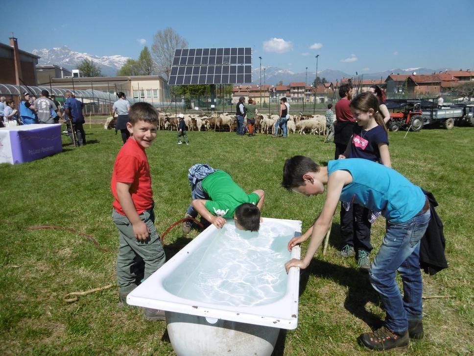 La fiera zootecnica conquista Ponderano