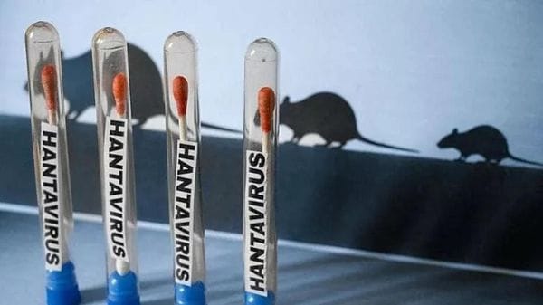 Hantavirus: la Regione assicura che non c’è nessun allarme