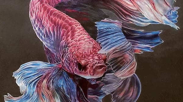I primi 25 anni del Liceo artistico, laboratorio di idee, cultura e  talento