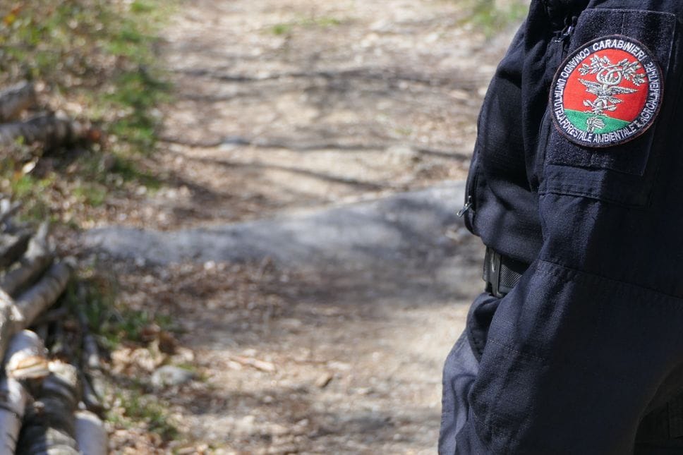 Bruciava felci in un terreno: multato