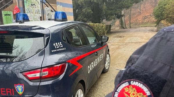 Bruciava felci in un terreno: multato