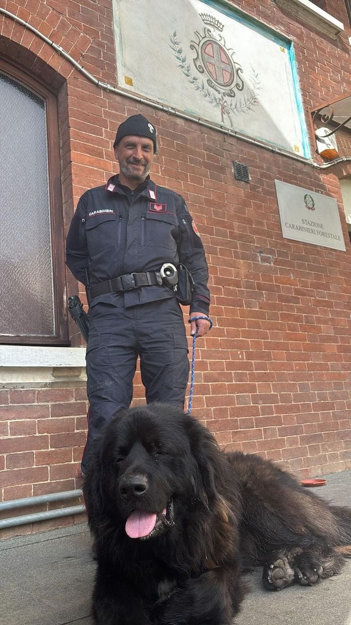 Pastore del Caucaso recuperato dai carabinieri forestali