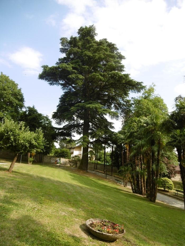 Viverone, il parco di Villa Lucca diventa polo culturale