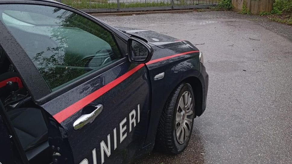 Tira una martellata ai cani: sedato e portato in ospedale dai carabinieri