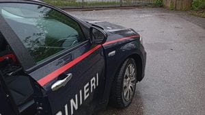 Tira una martellata ai cani: sedato e portato in ospedale dai carabinieri