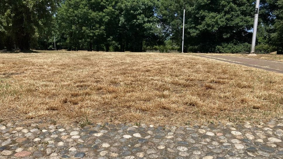 Meteo, doppia allerta per il caldo e per i temporali