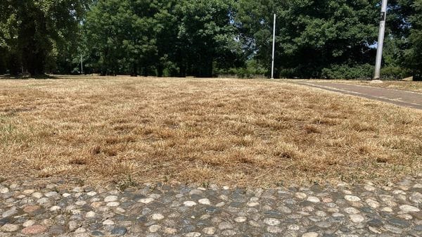 Meteo, doppia allerta per il caldo e per i temporali