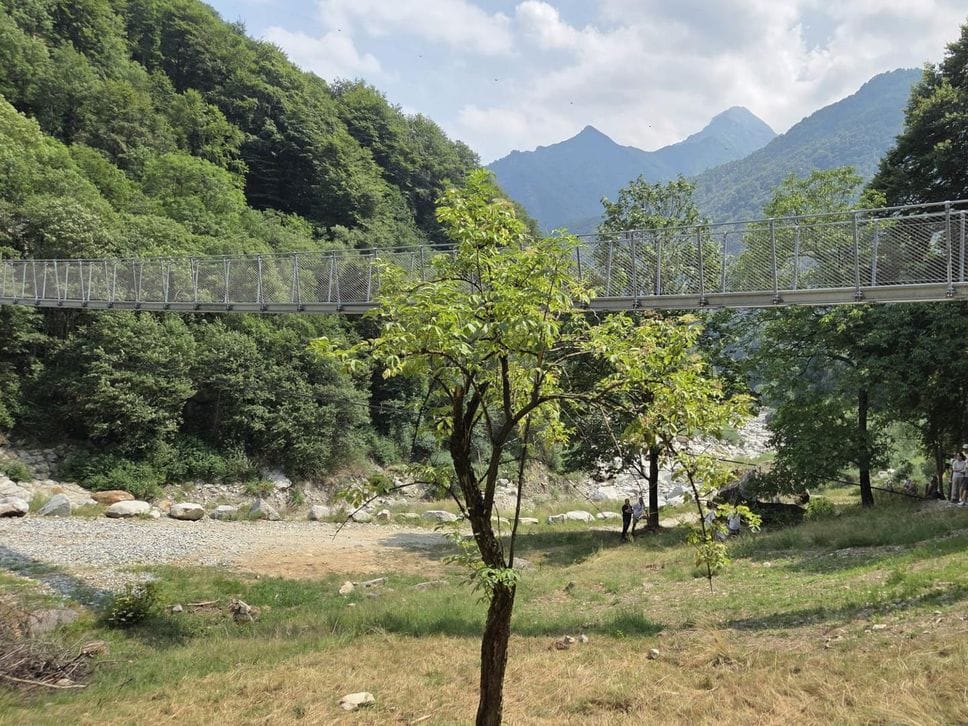 Inaugurata la passerella: a Piedicavallo il ponte sospeso di Fontanamora è il più lungo del Piemonte. Fotogallery