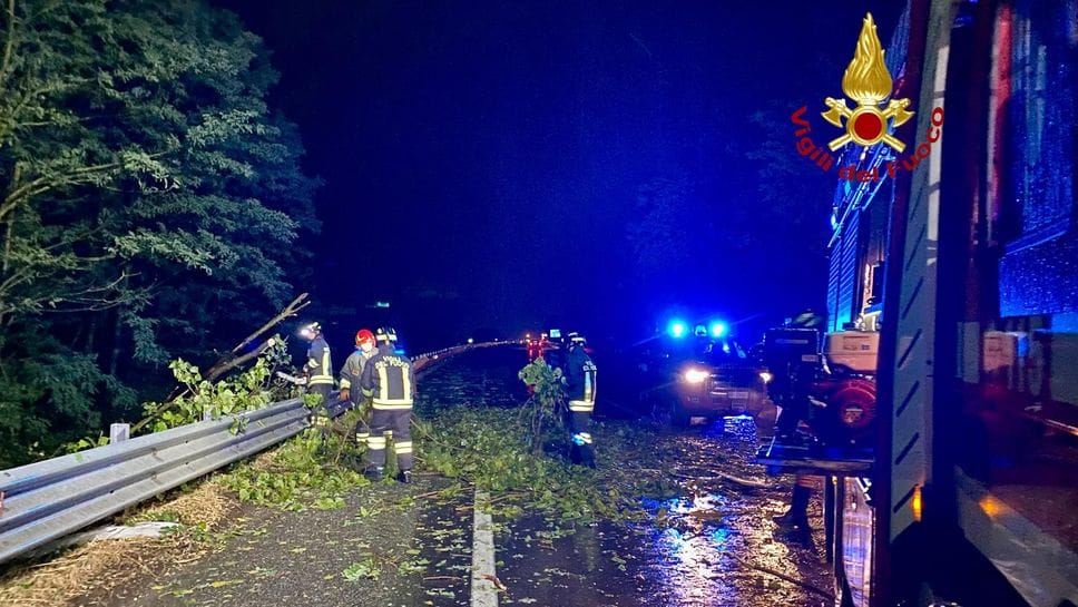 Pianta cade in strada e causa un incidente stradale