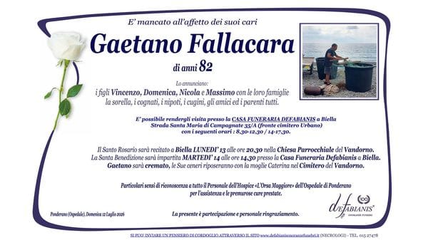 Gaetano Fallacara