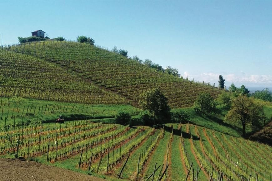 Immagine per cr-piemonte-7840