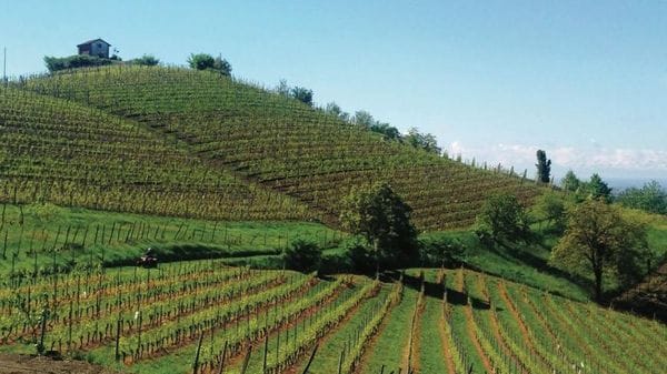 Immagine per cr-piemonte-7840