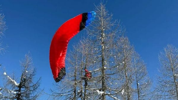 Donna rimane incastrata su un albero con il parapendio