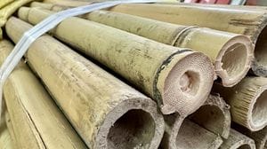Litiga con il vicino e lo minaccia brandendo una canna di bambù