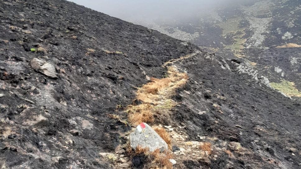 Le prime foto del Monte Barone dopo la distruzione dell’incendio