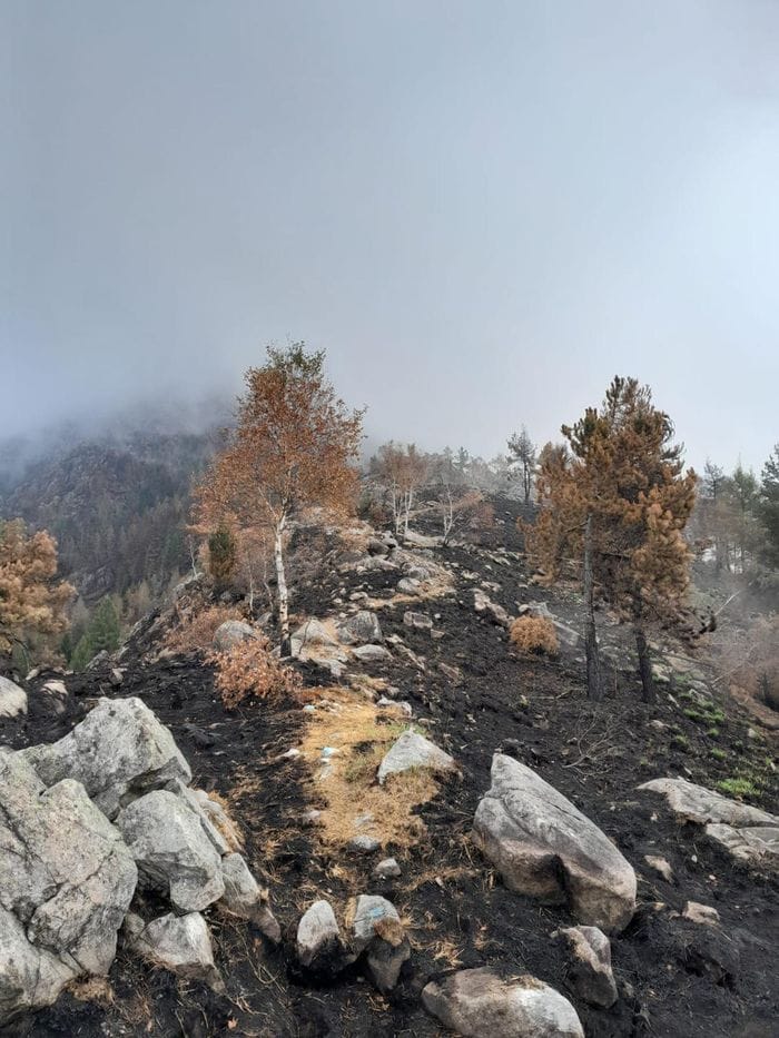 Le prime foto del Monte Barone dopo la distruzione dell’incendio